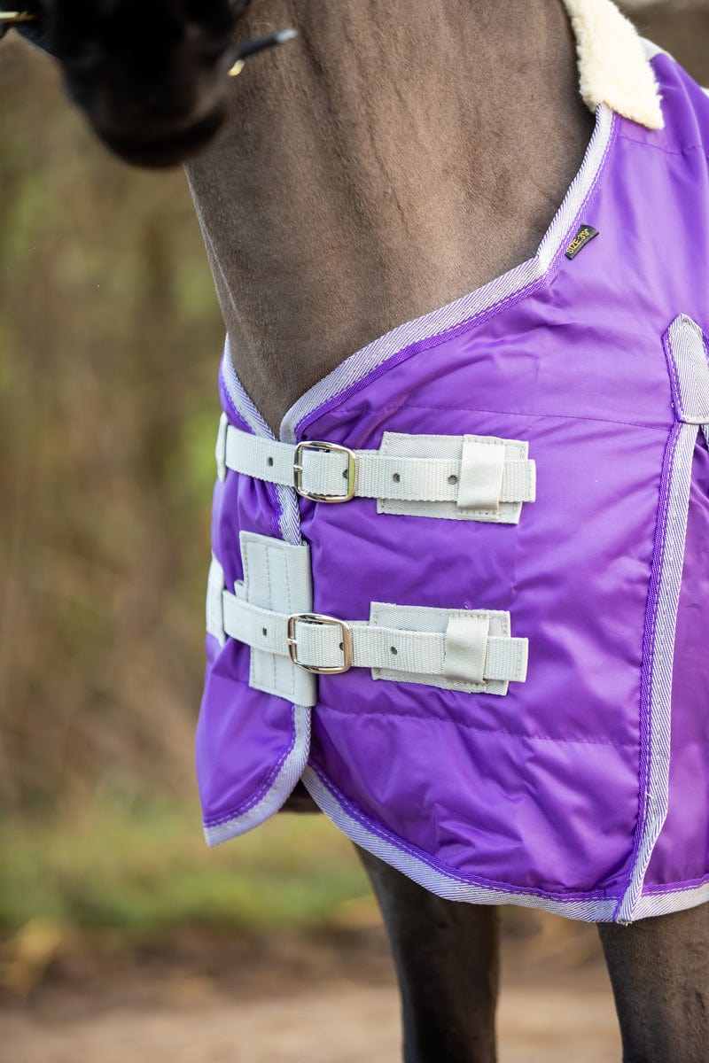 Mini 100g Stable Rug - Purple