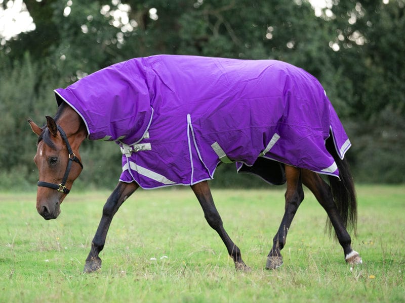 100g FIXED Neck Turnout Rug - Purple